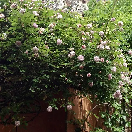 Maison d'hôtes La Bouscatière 4*