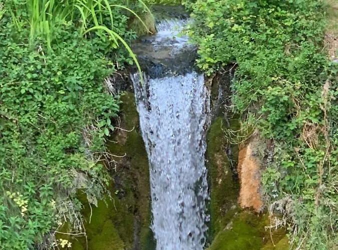 La Bouscatiere Гостевой дом Мустье-Сент-Мари