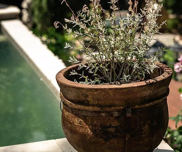 La Bouscatiere Guest house 4*