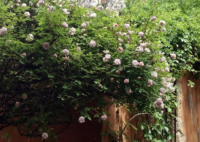 Guest house La Bouscatiere 4*