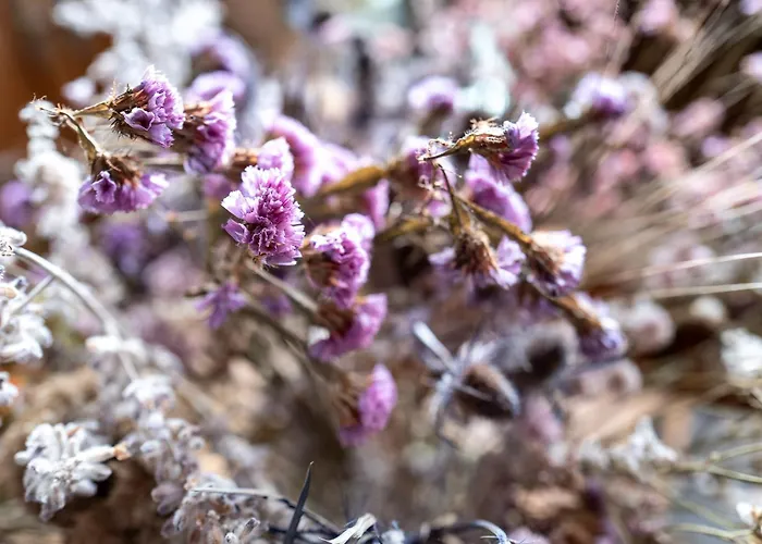 Guest house La Bouscatiere 4*